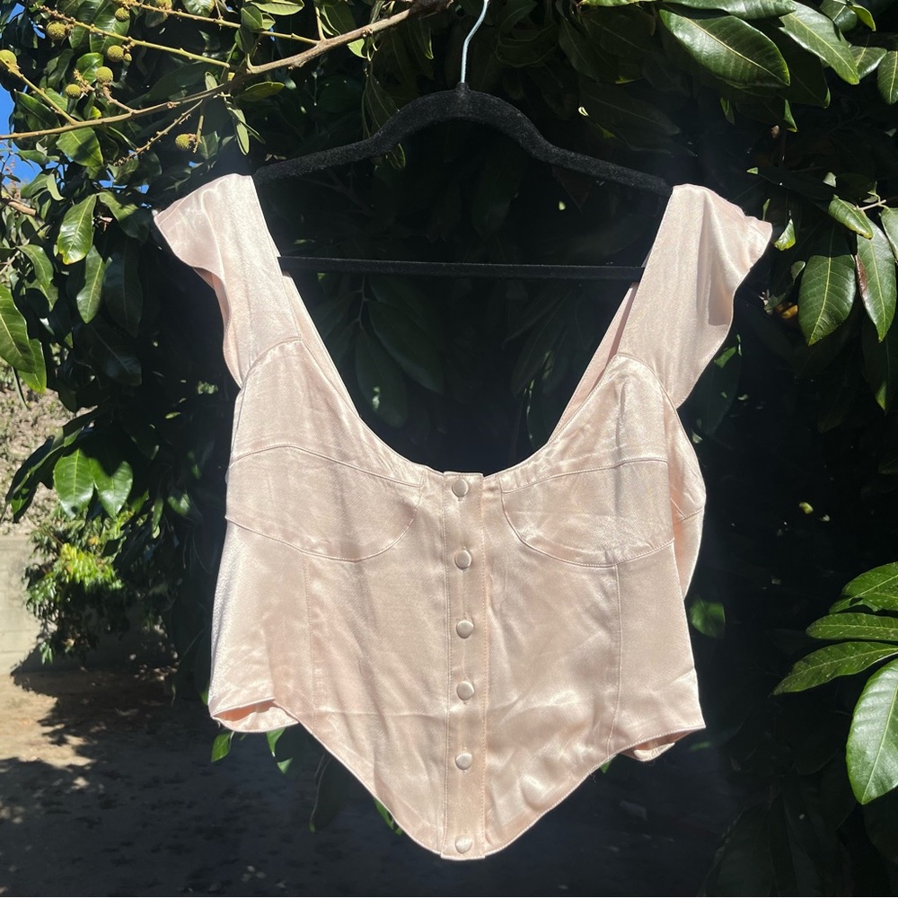 Vanessa Mooney Blush Pink Satin Crop Top
